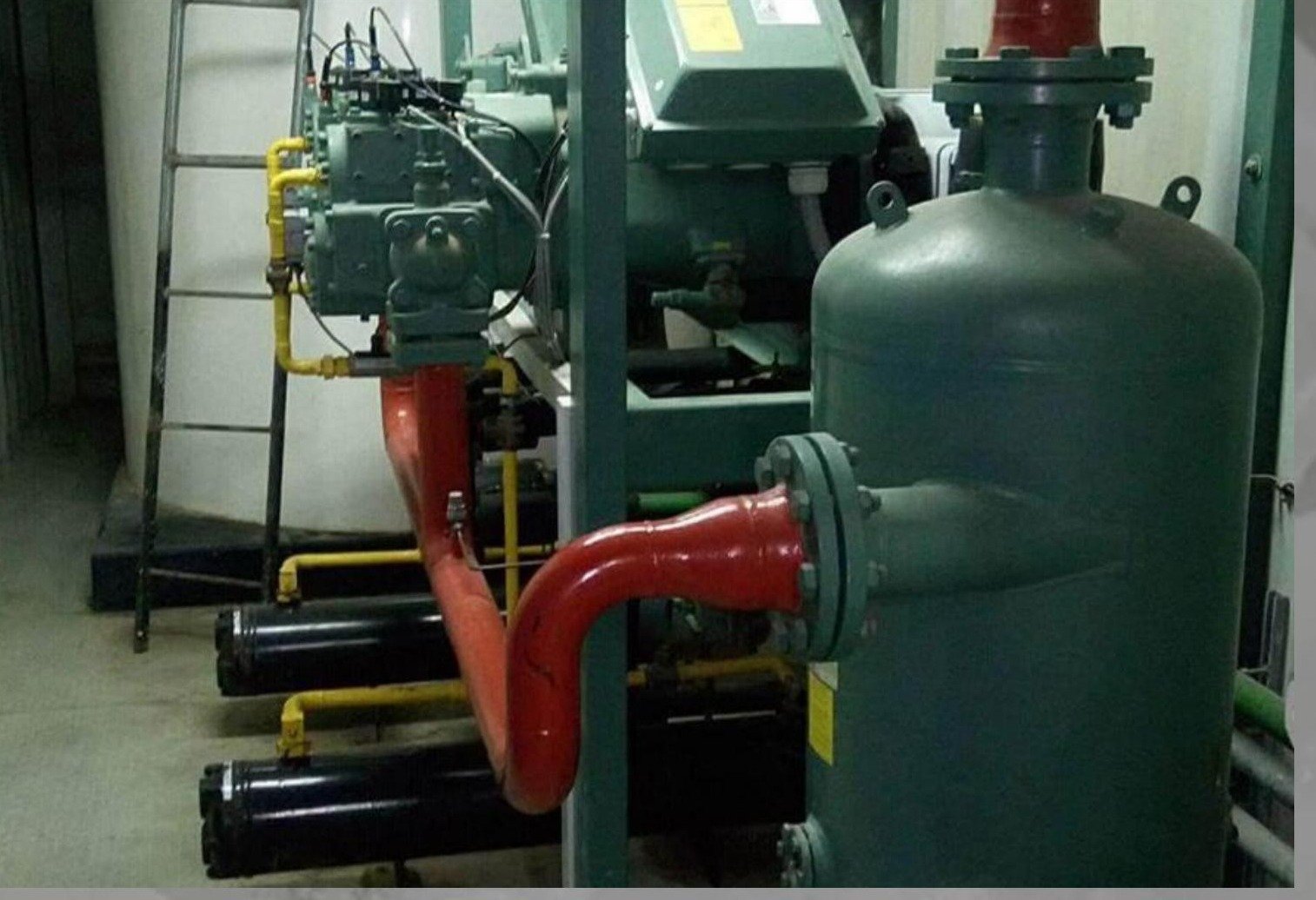 Ice plant ammonia compressor installation