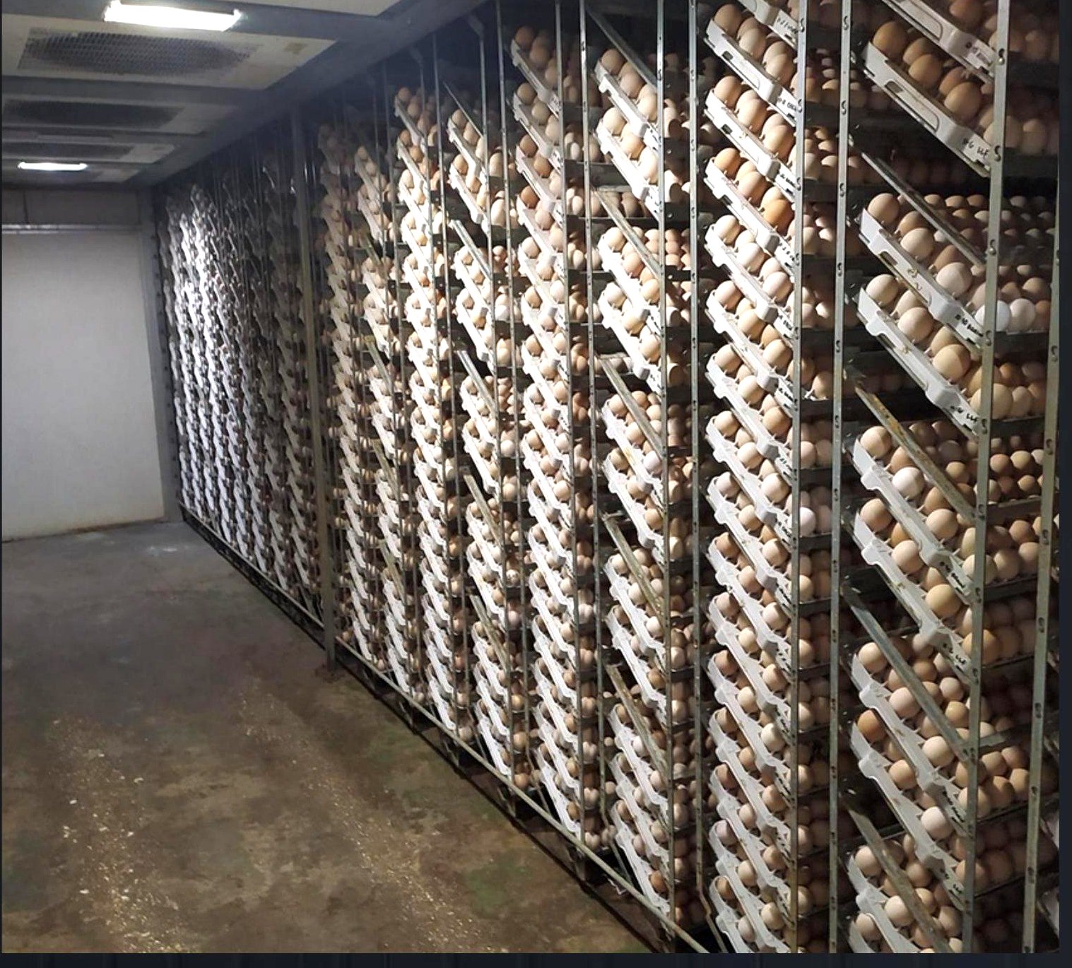 Hatchery automation project for Nutriva Agri-Ventures Corp.