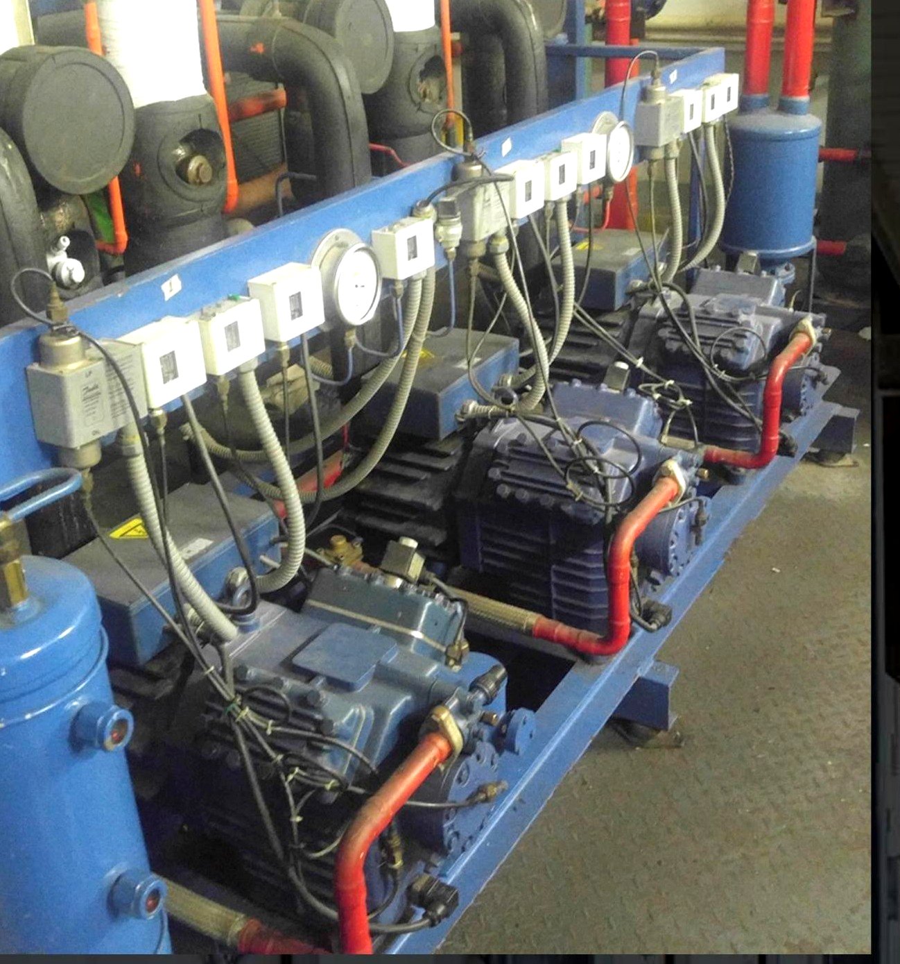 Kold Koncepts technician beside a compressor bank at Rustan's / Shopwise